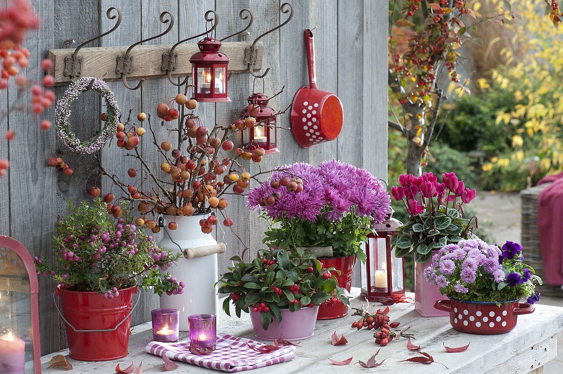 Autumn arrangement in enamelled containers on the patio table