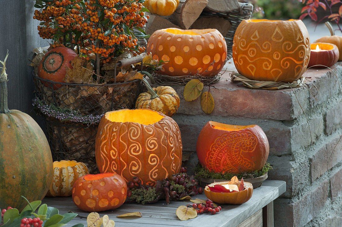 Arrangement aus dekorativ geschnitzten Kürbissen (Cucurbita)