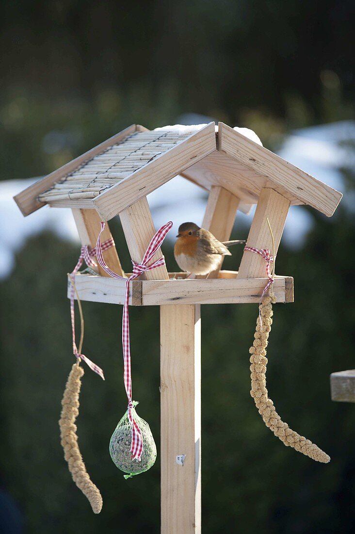 Kleines Vogelfutter-Haus mit Rotkehlchen (Erithacus rubecula)