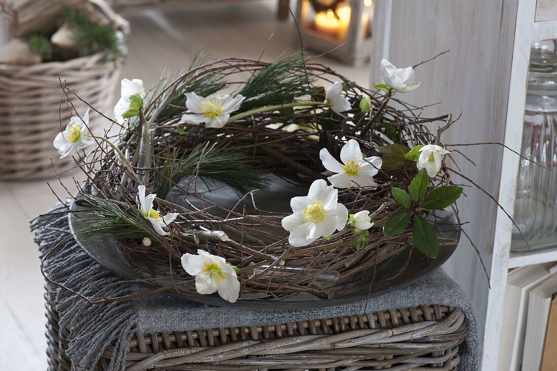 Simple Salix branches wreath,