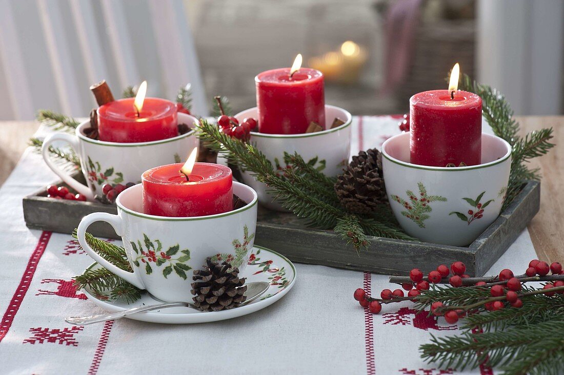 Fast Advent wreath in Christmas cups with red candles, Picea
