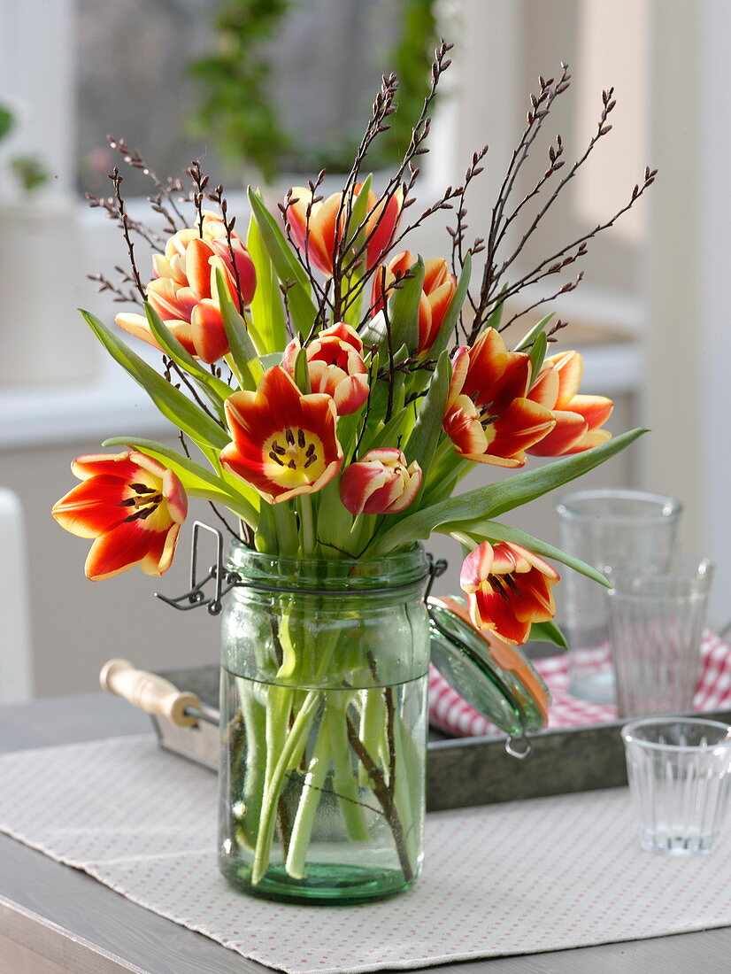 Strauß aus rot-gelben Tulipa (Tulpen) mit Betula (Moorbirke) im Einweckglas