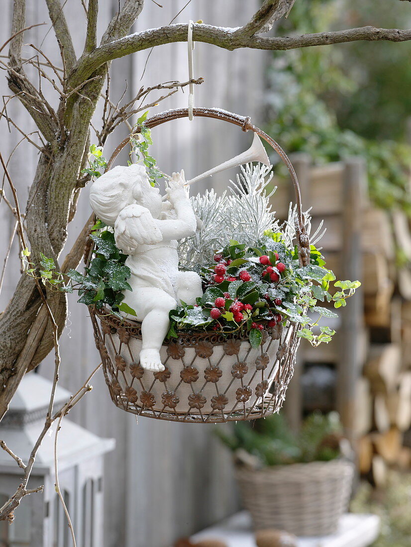 Hanging metal basket with angel planted with Gaultheria