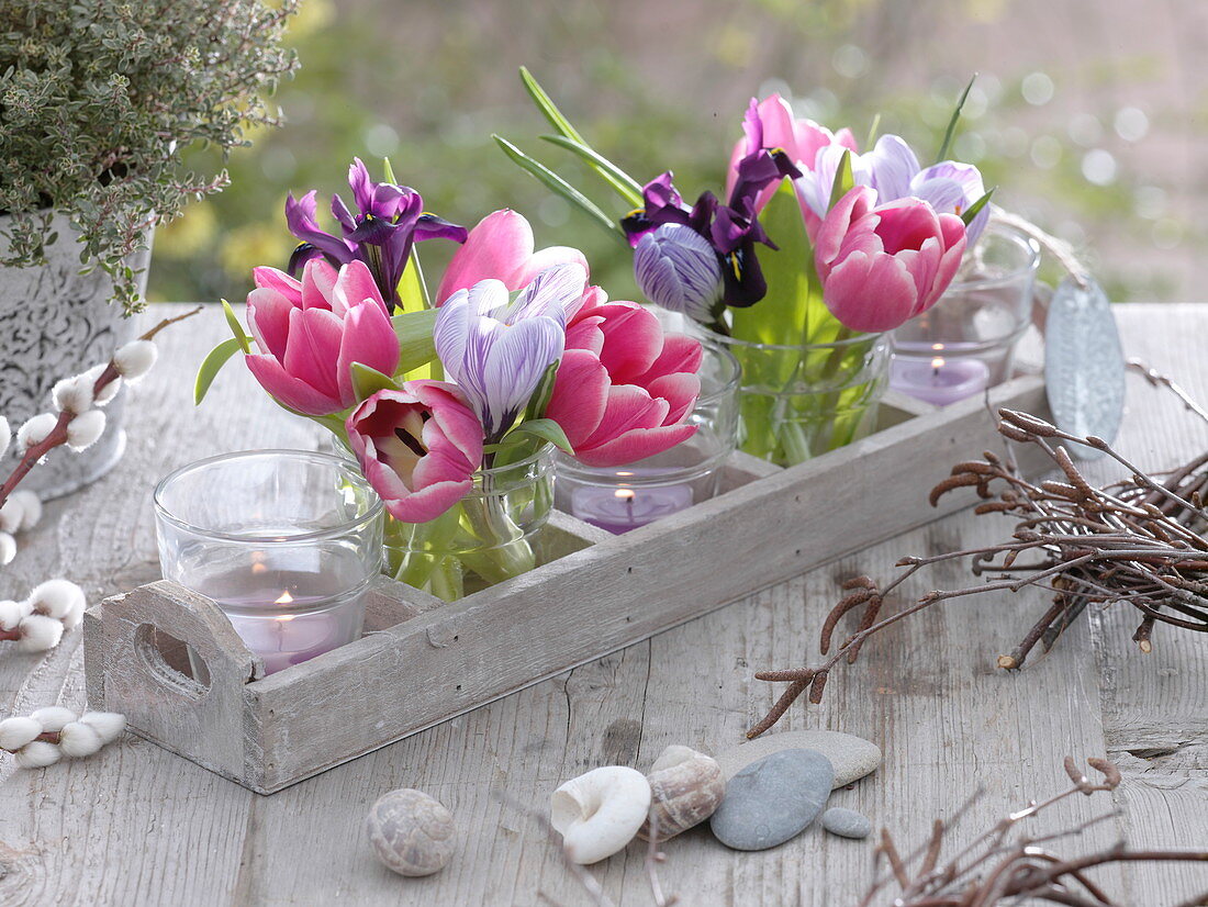 Kleine Sträuße aus Tulipa (Tulpen), Crocus (Krokussen) und Iris reticulata