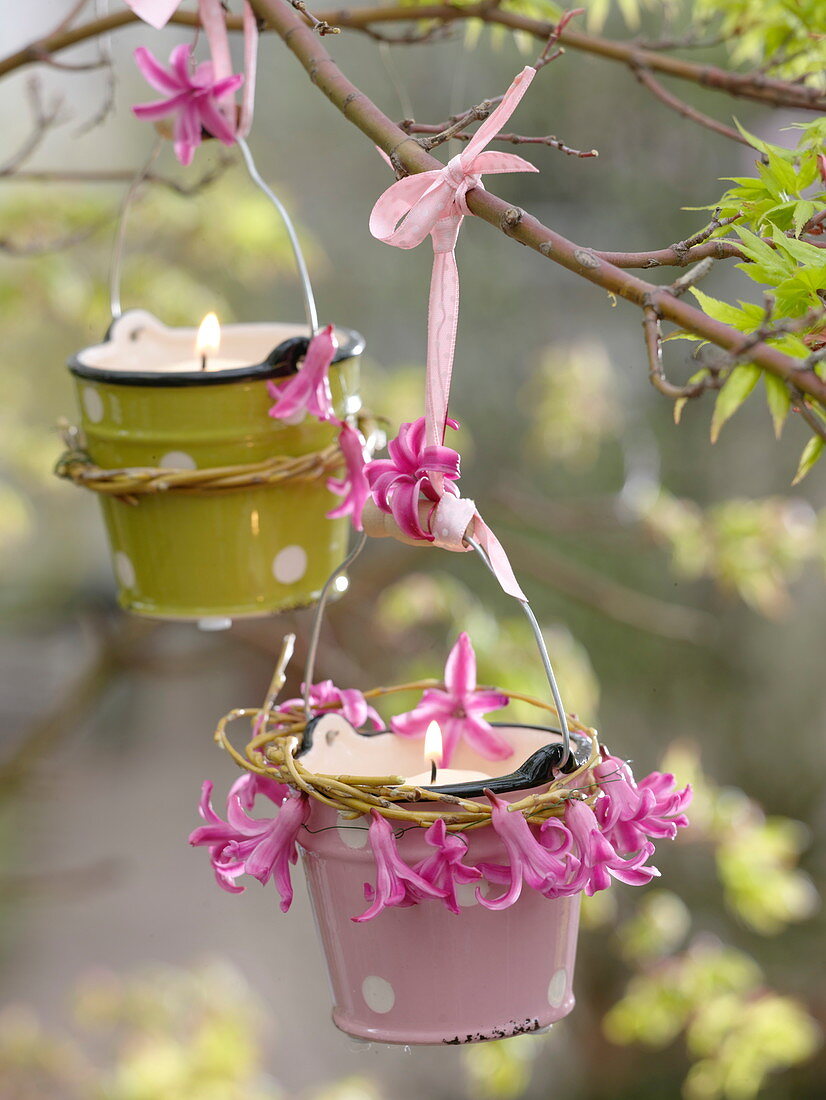 Windlichter aus Blecheimern mit Blüten von Hyacinthus (Hyazinthen)