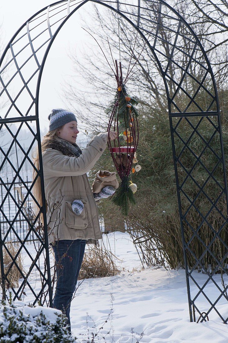 Frau füllt selbstgebaute Futterstation aus Zweigen von Cornus