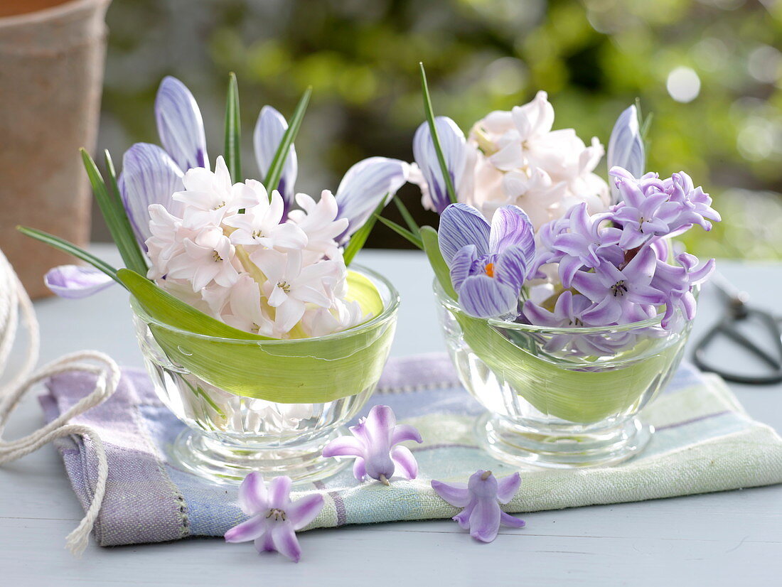 Mini bouquets of Hyacinthus and Crocus 'Striped Beauty'