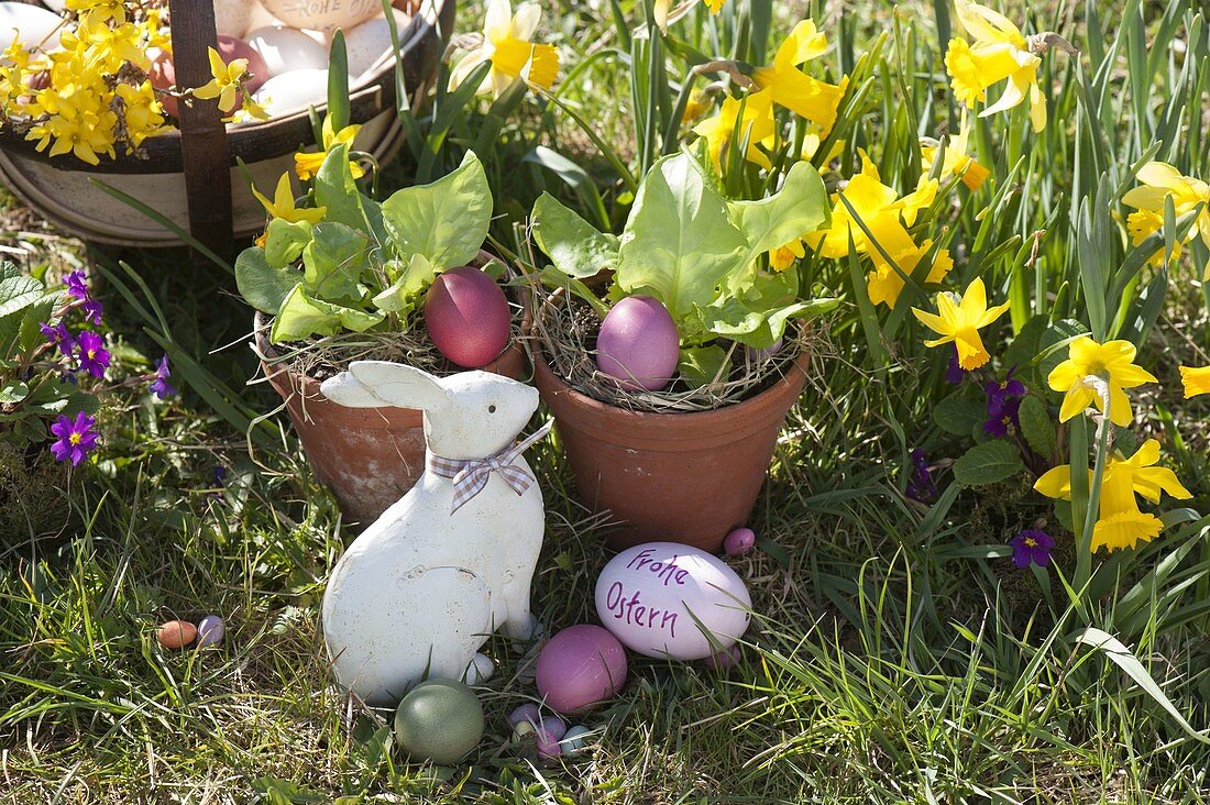 Easter in the garden - naturally colored Easter eggs, salad in clay pots