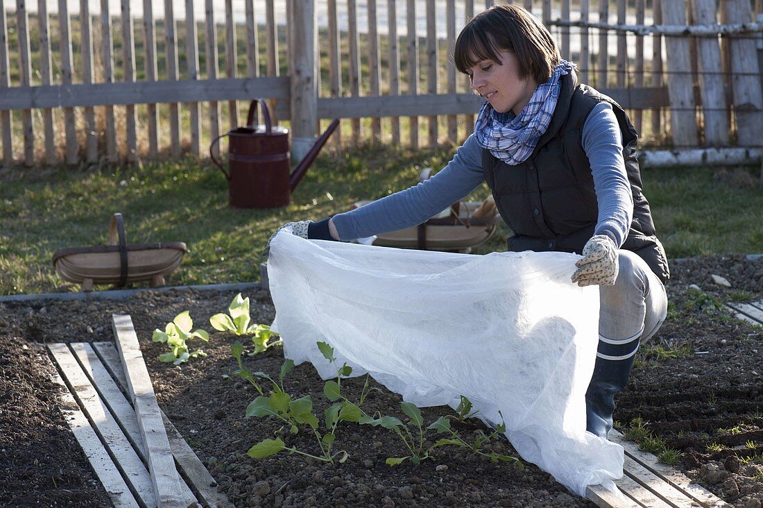 Woman covering freshly planted radish and salad