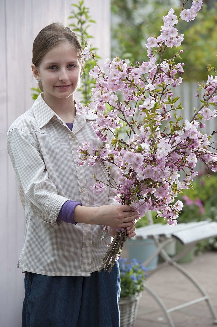 Mädchen mit Strauß aus Prunus sargentii 'Accolade' (Japanischer Zierkirsche)