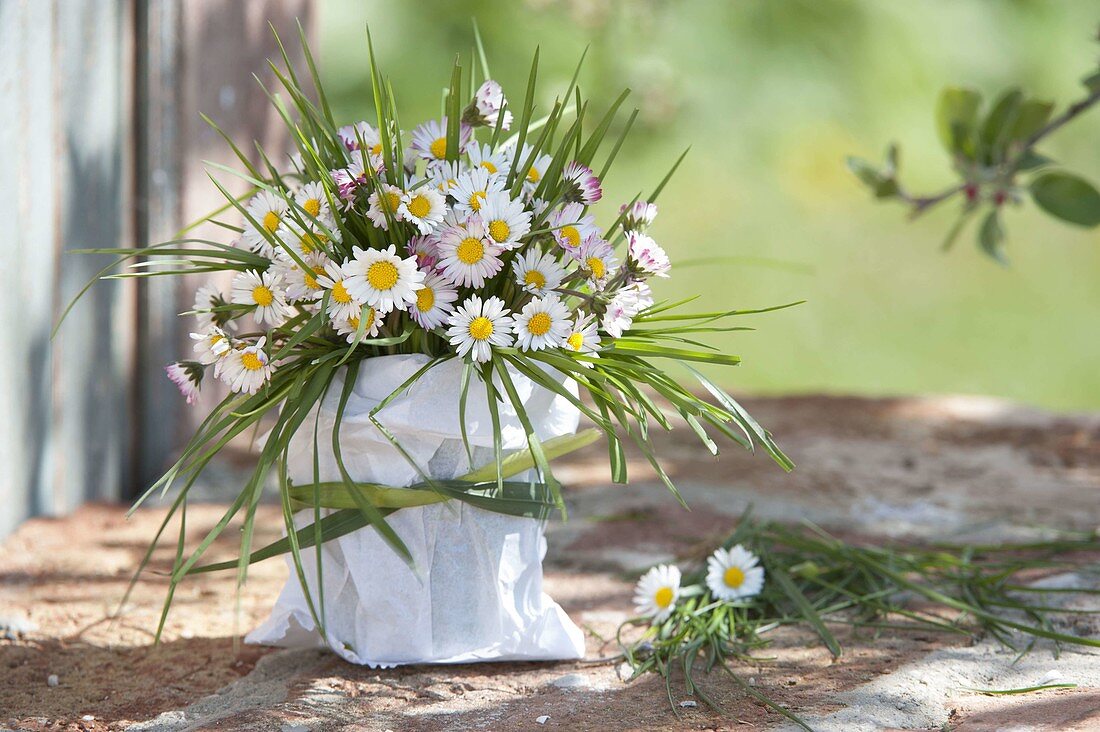 Small bouquet of Bellis perennis (daisies) and grasses