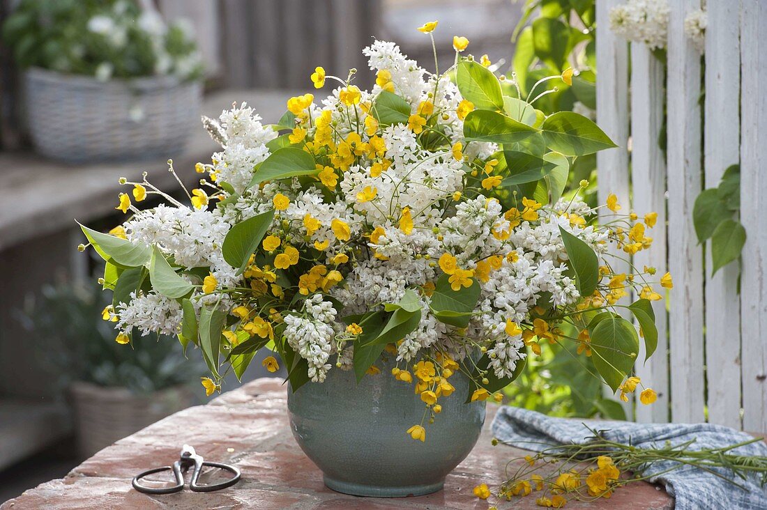 Weiß-gelber Duftstrauß aus Syringa (Flieder) und Ranunculus