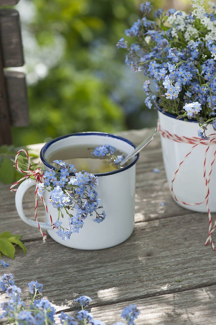 Tea and bouquet from Myosotis (forget-me-not)