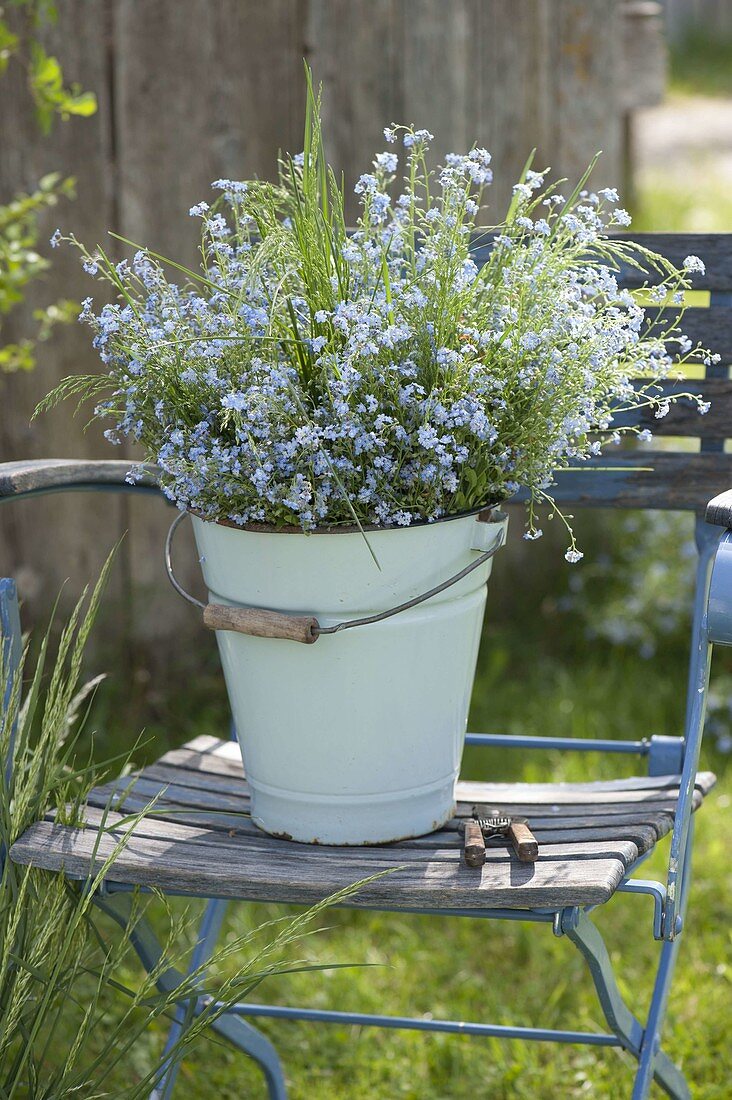 Enameled bucket with myosotis and grasses on folding chair