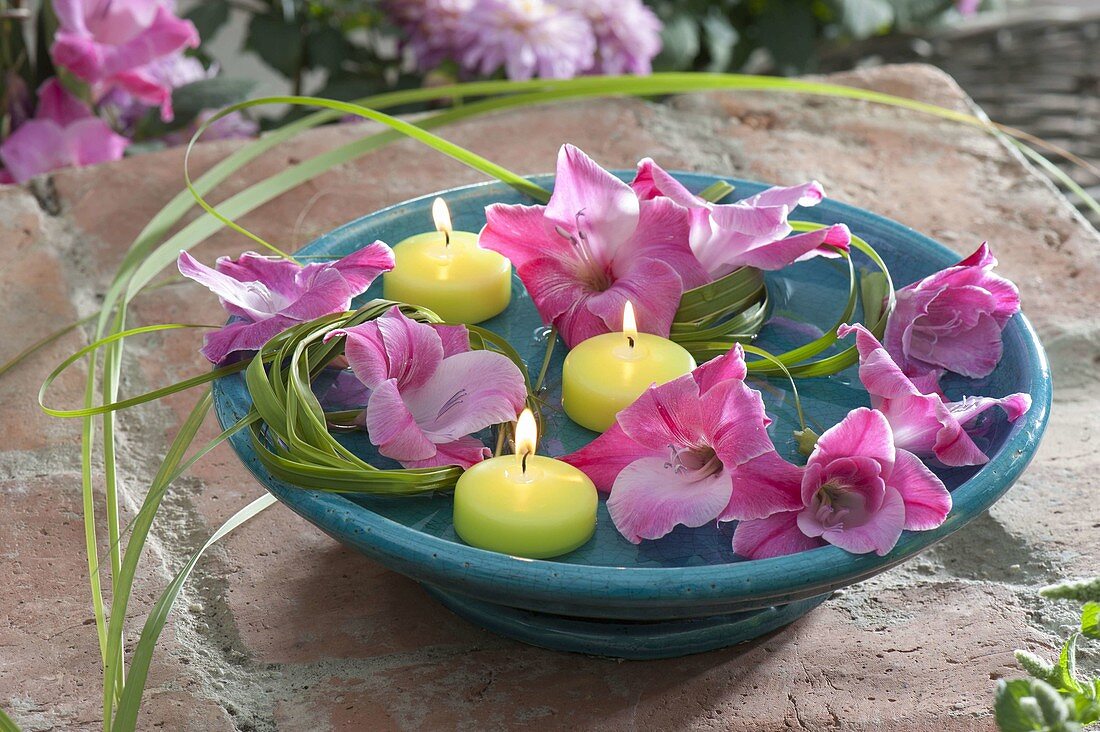 Blüten von Gladiolus (Gladiolen) mit Gras und Schwimmkerzen