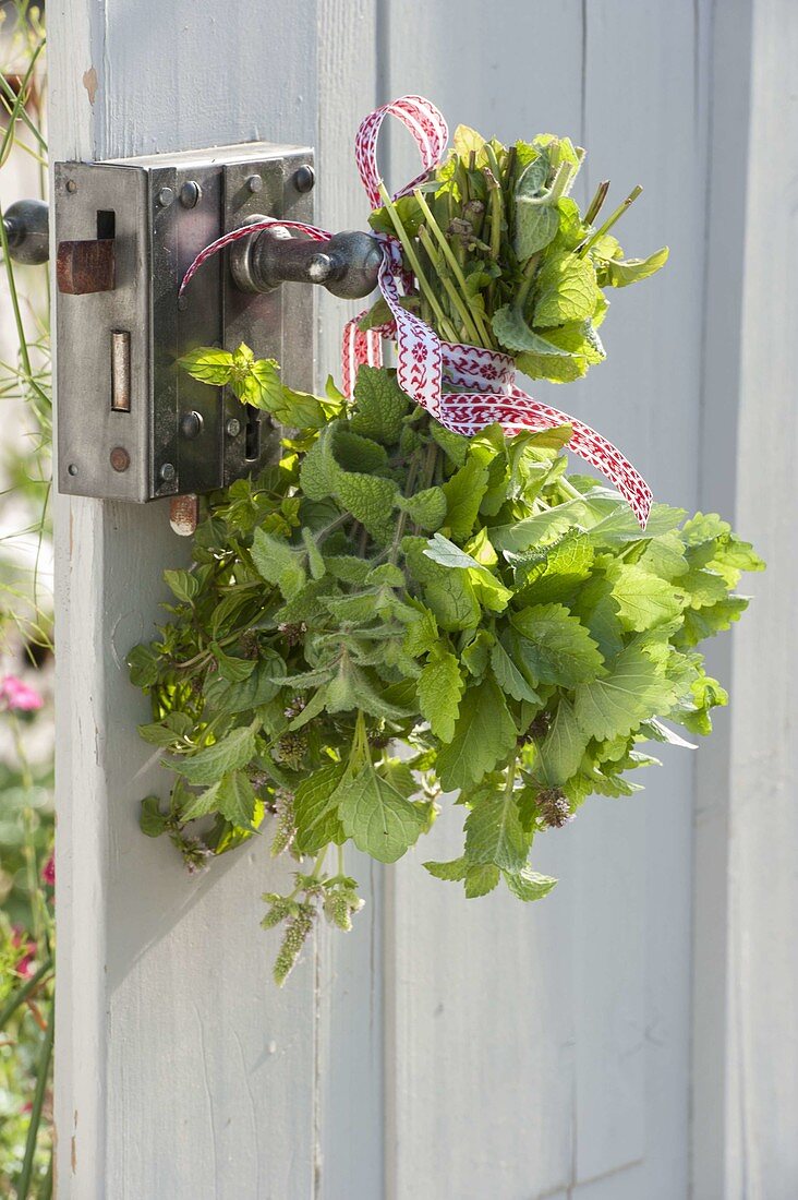 Small herb bouquet on the door handle