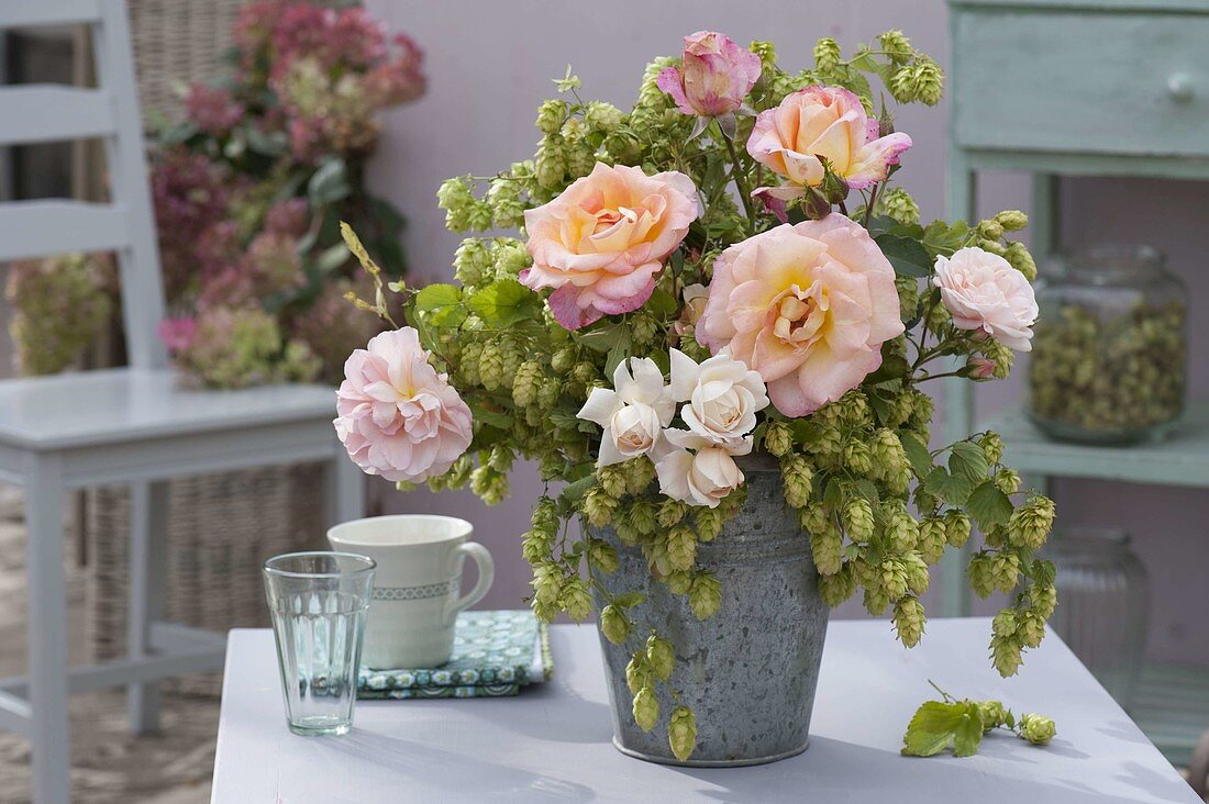 Strauss aus Rosa (rosen) und Humulus (Hopfen) in Zink - Vase