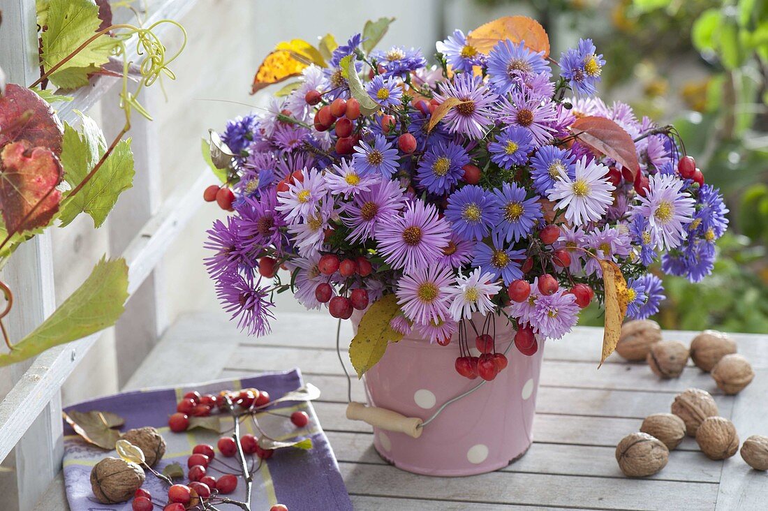 Herbststrauss in Blecheimerchen mit Aster (Herbstastern) und Malus