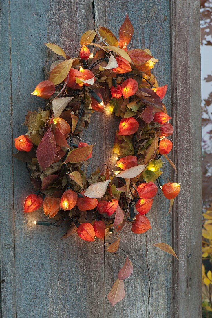 Leaf wreath with physalis (lantern flower) and fairy lights