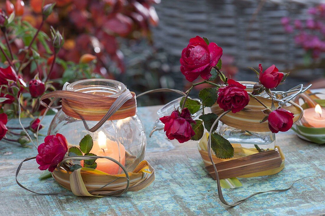 Autumn lantern with red flowers of pink (rose), leaves