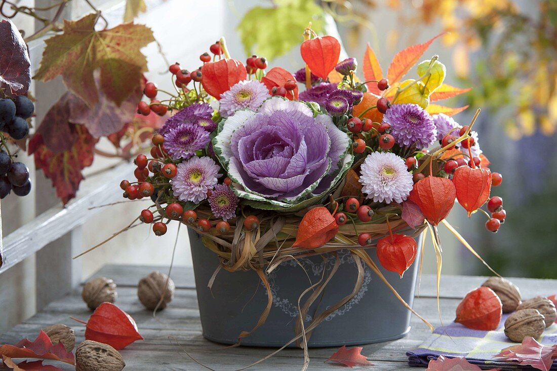 Herbstgesteck in Metall-Jardiniere mit Brassica (Zierkohl), Physalis