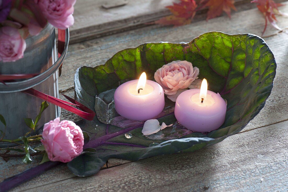 Kohlblatt als Kerzenhalter : Blatt von Rotkohl (Brassica) mit Blüten