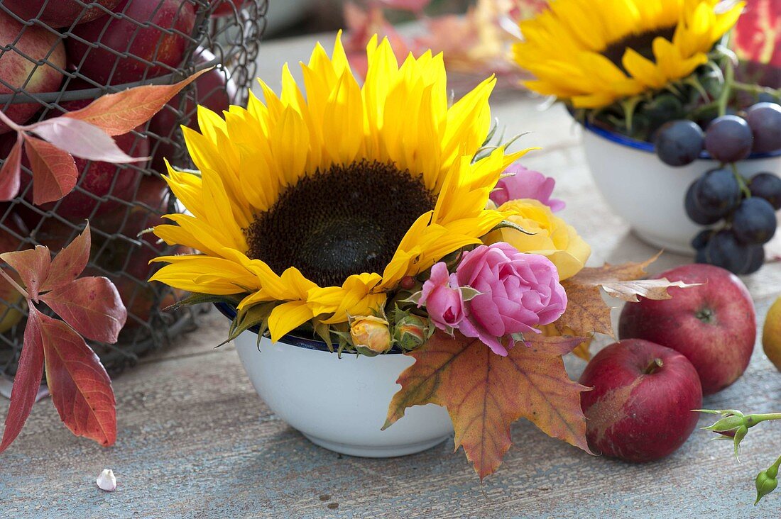 Small bowl with helianthus, Rose and leaves