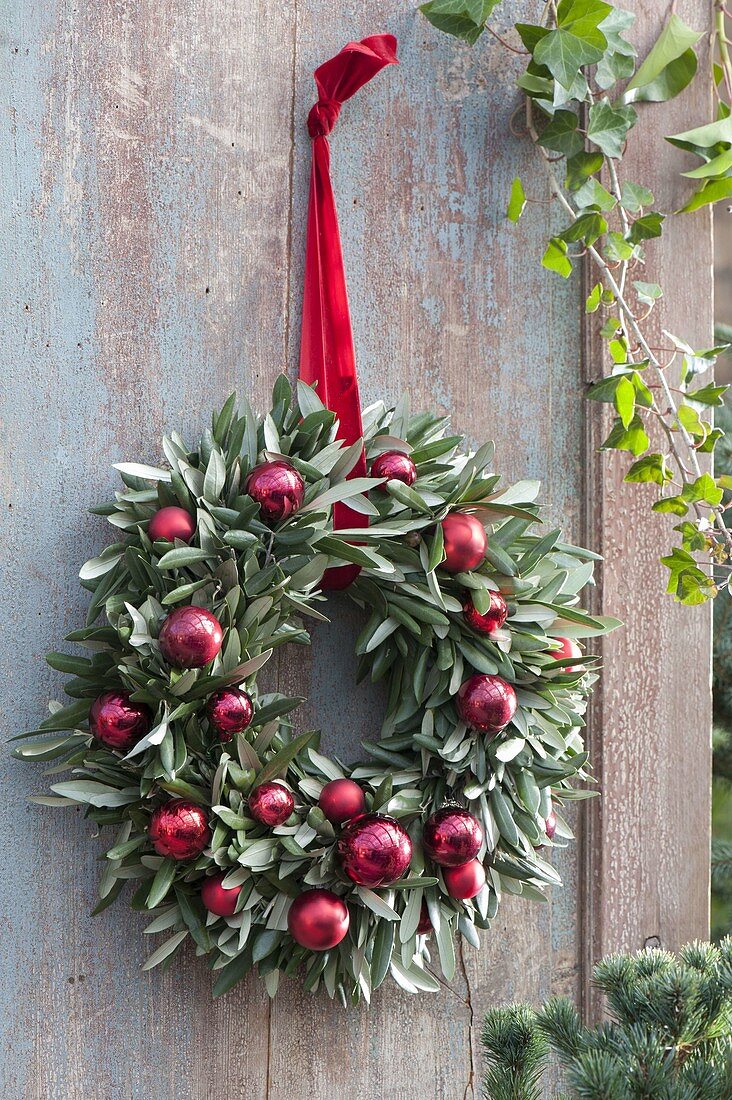 Weihnachtlicher Türkranz aus Zweigen von Olea (Olive), dekoriert