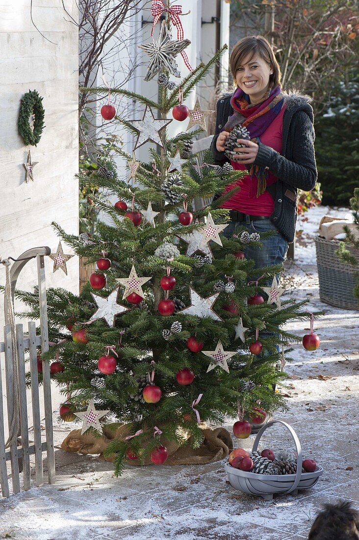 Young woman decorates Abies nordmanniana with apples