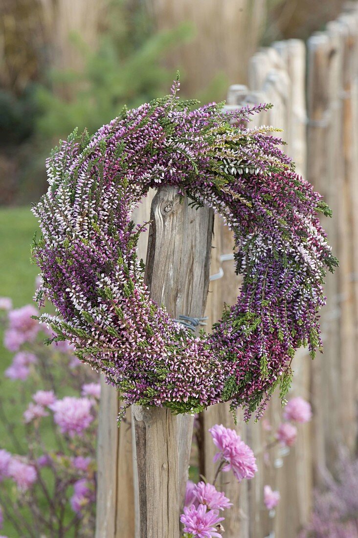 Wreath of Calluna vulgaris (Flowering broom heather) on fence