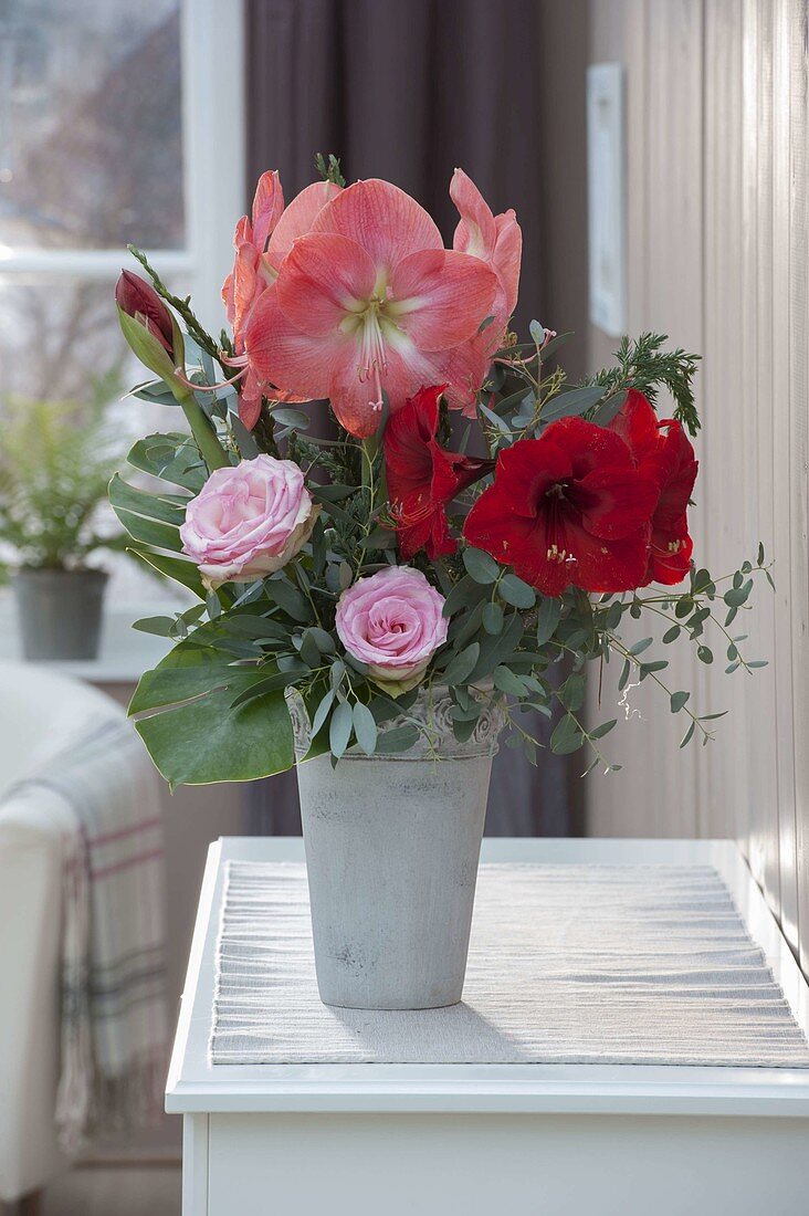 Winter bouquet with Hippeastrum 'Vera', 'Red Lion' (Amaryllis), Rosa (Rose)