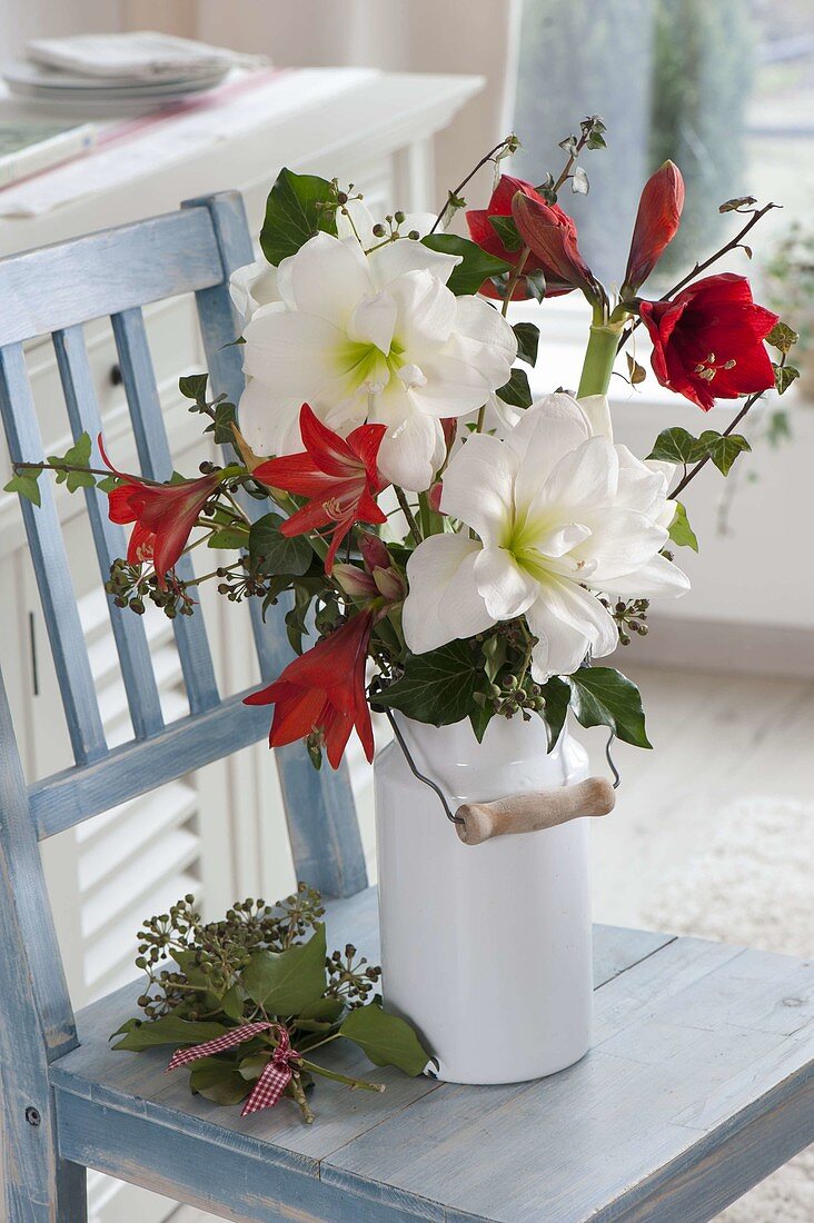 Red-white Winter bouquet with Hippeastrum 'White Peacock' 'Hummingbird Red' 'Red Lion