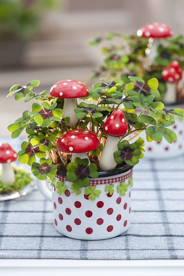 Oxalis deppei 'Iron Cross' (Lucky Clover) in dotted cup with toadstools