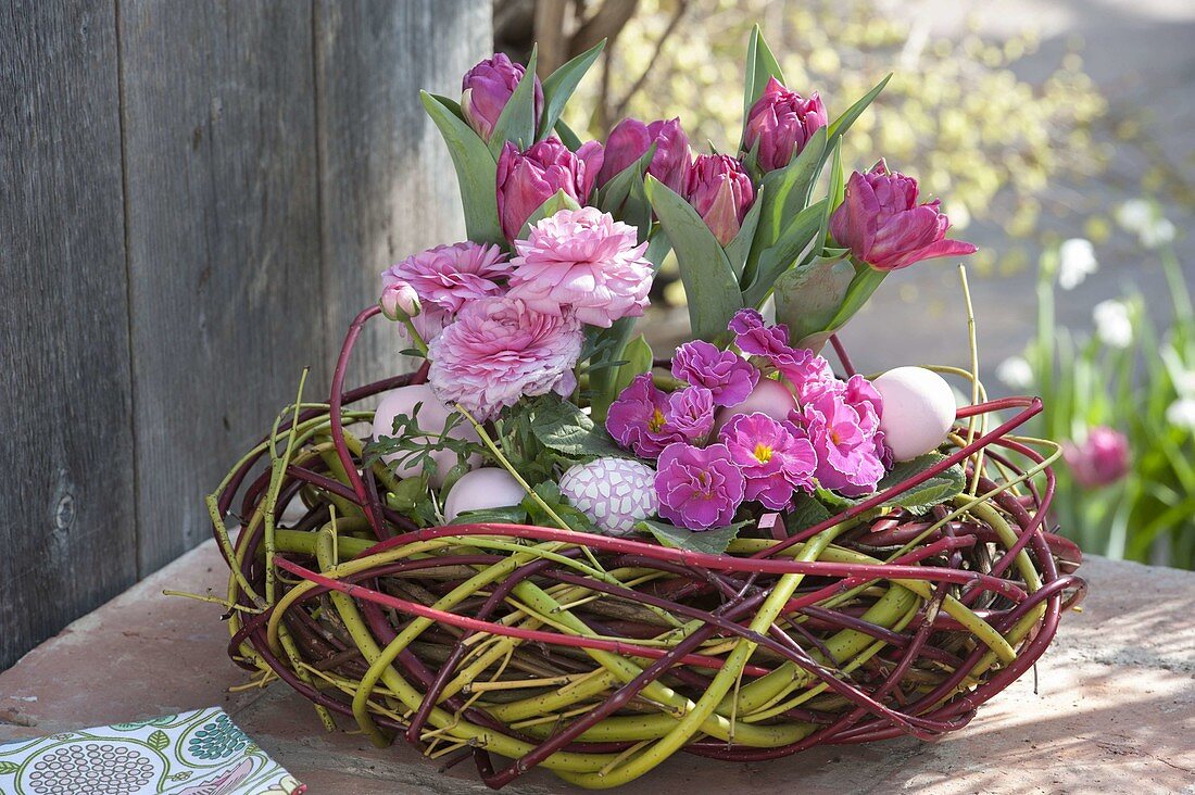 Tulipa 'Lilac Perfection' (Tulpe), Ranunculus (Ranunkel) und Primula acaulis