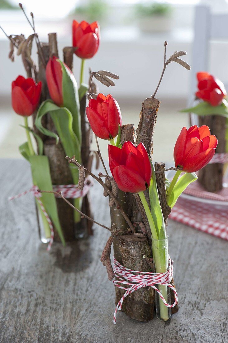 Tulipa (tulip) in glass tubes with Corylus avellana branches