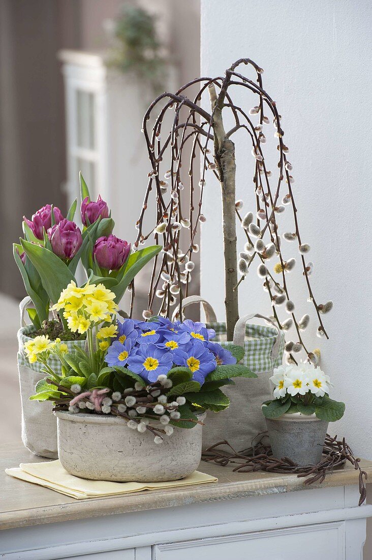 Spring blooms and willow stems