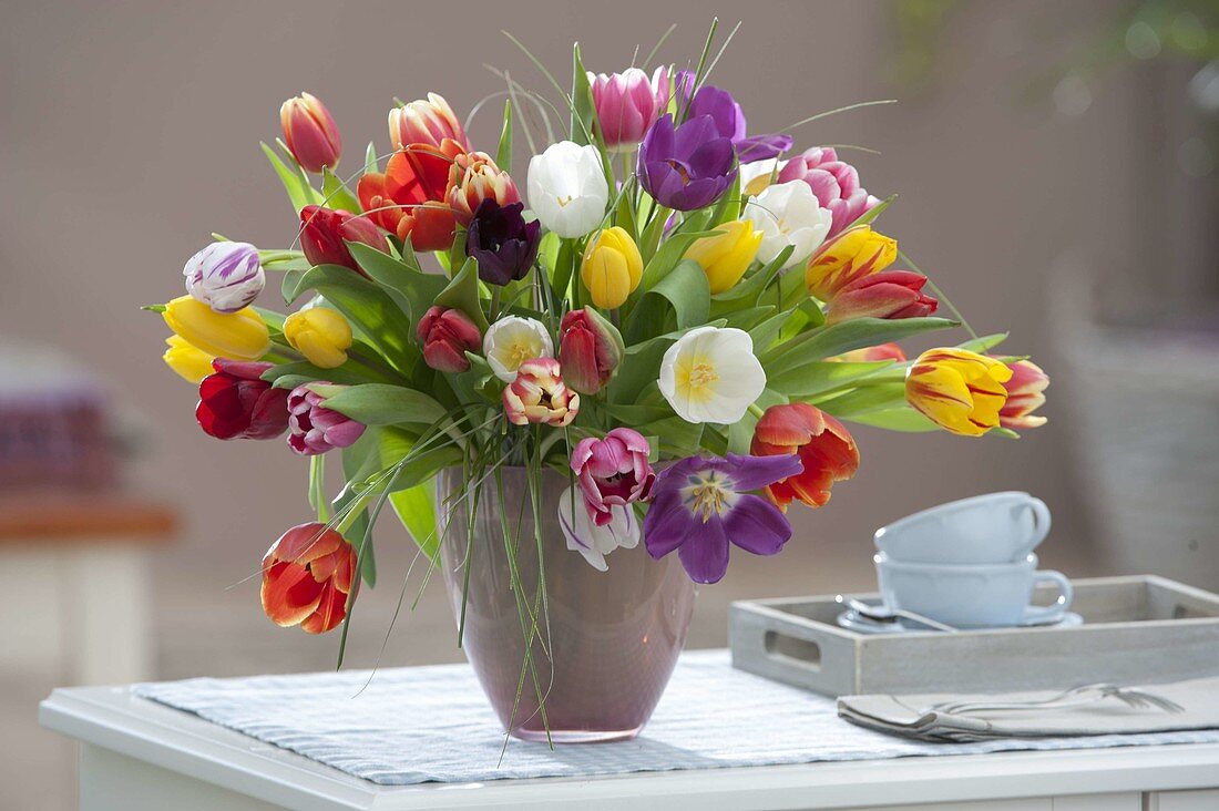 Colorful mixed Tulipa bouquet in glass vase