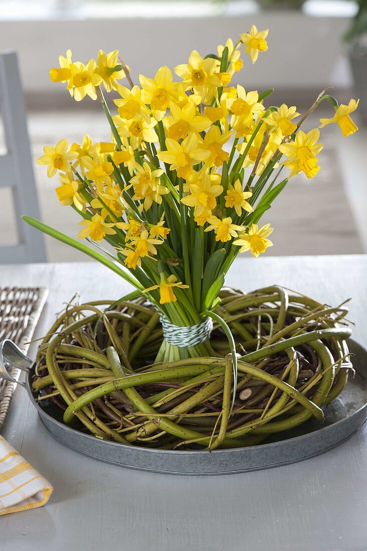 Standing bouquet of Narcissus 'Tete a Tete' (daffodils) in a wreath of Salix