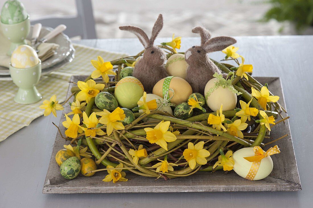 Kranz aus Salix (Weide) als Osternest dekoriert mit Blüten von Narcissus