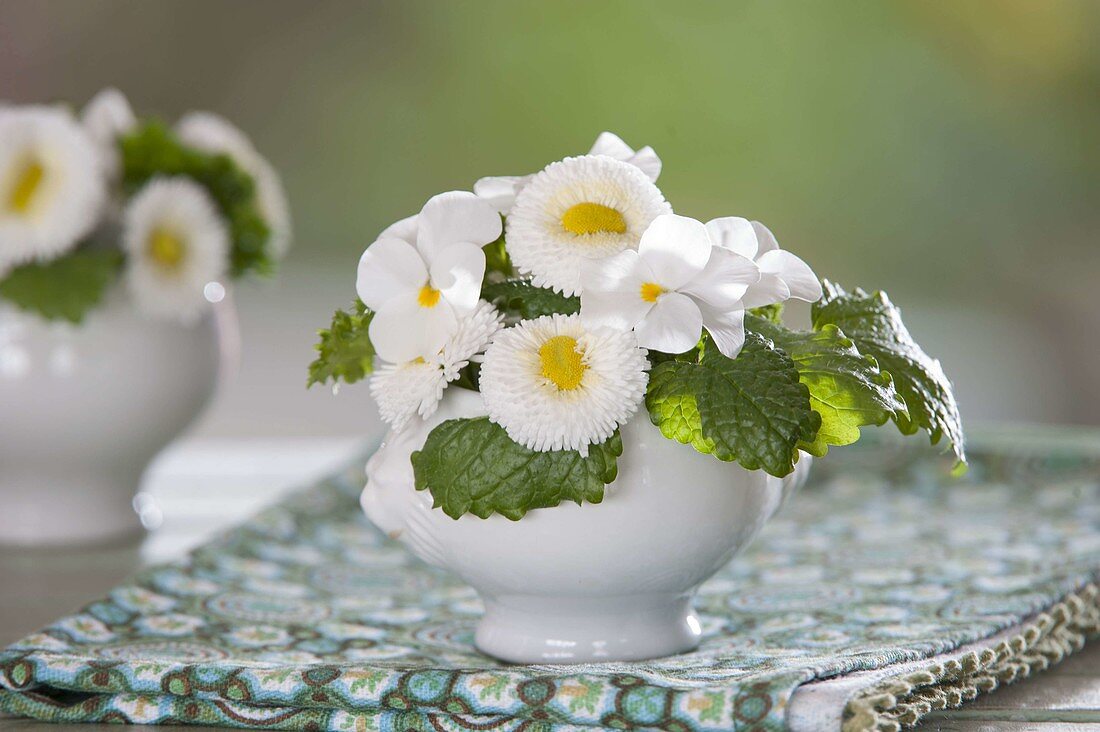 Kleiner Strauss mit Bellis (Tausendschön), Viola cornuta (Hornveilchen)