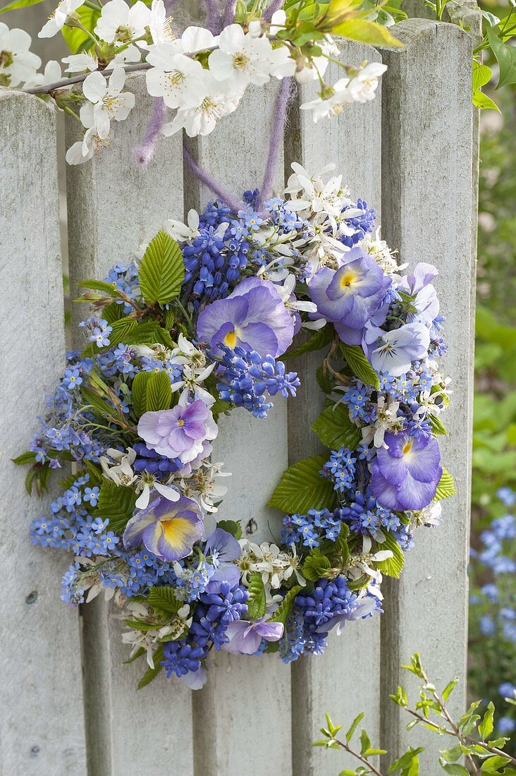 Wreath in blue and purple at the fence: Myosotis (Forget-me-not), Muscari
