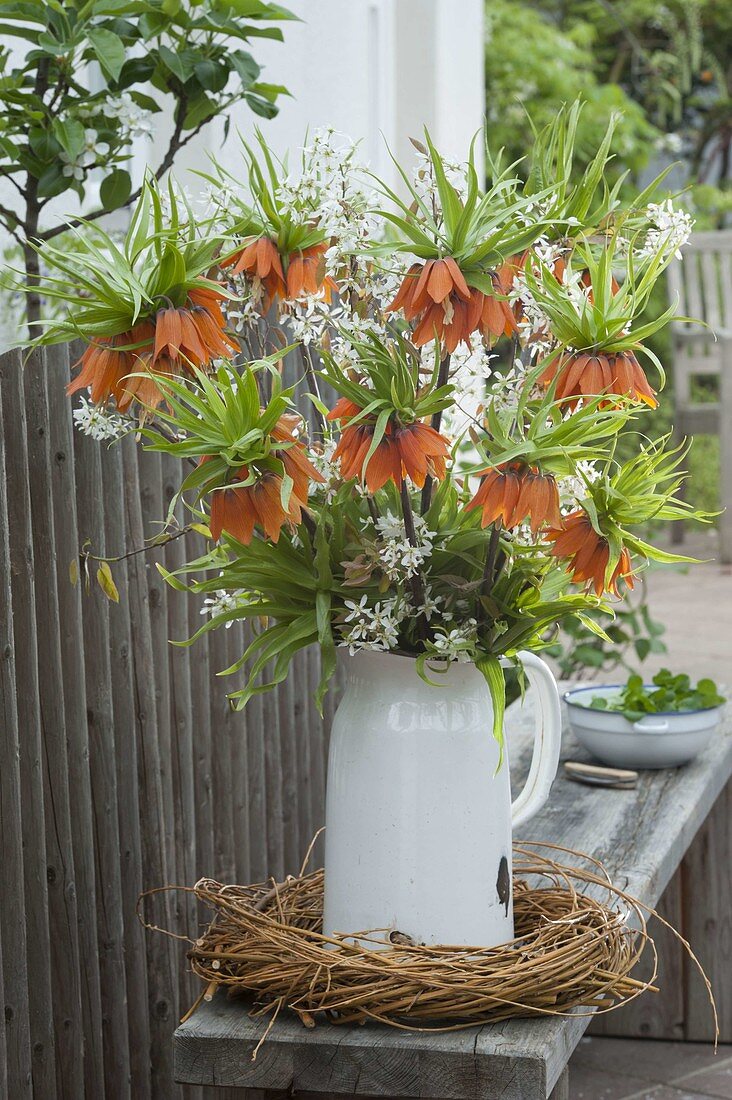 Bouquet of Fritillaria imperialis 'Aurora' (Imperial Crown) and Amelanchier