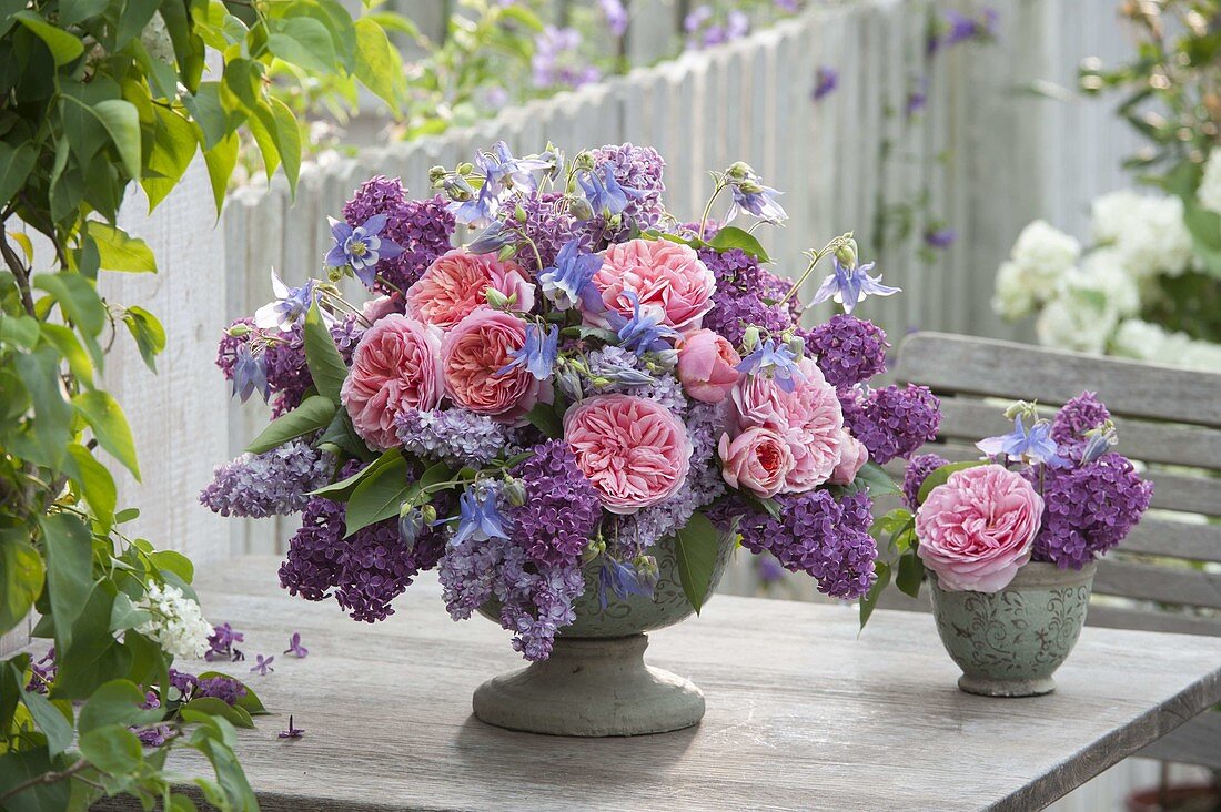 Scented bouquet of Syringa (Lilac), Rose 'Chippendale' (Nostalgia Rose)