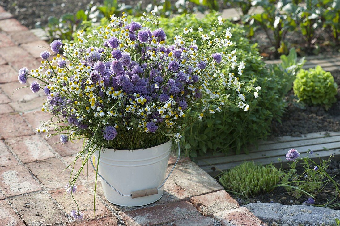 Bouquet of flowering herbs in enamelled bucket