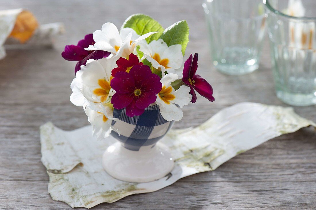 Small bunch of Primula acaulis (spring primroses) in egg cup
