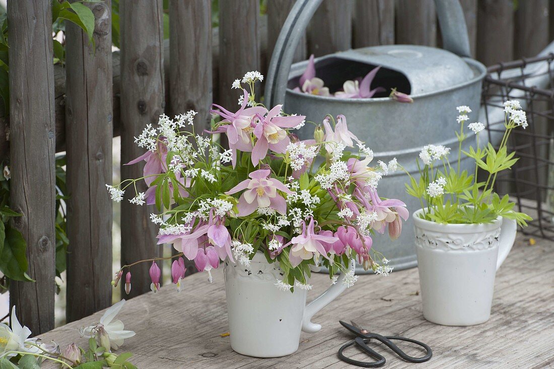 Kleine Sträuße in Kaffeebechern: Aquilegia (Akelei) und Waldmeister