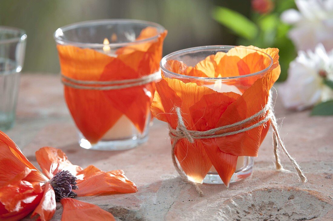 Glasses as lanterns with flower petals of Papaver orientale