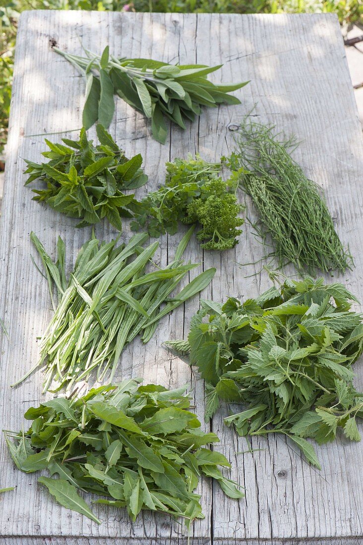 Fresh herbs for green smoothies for blood purification
