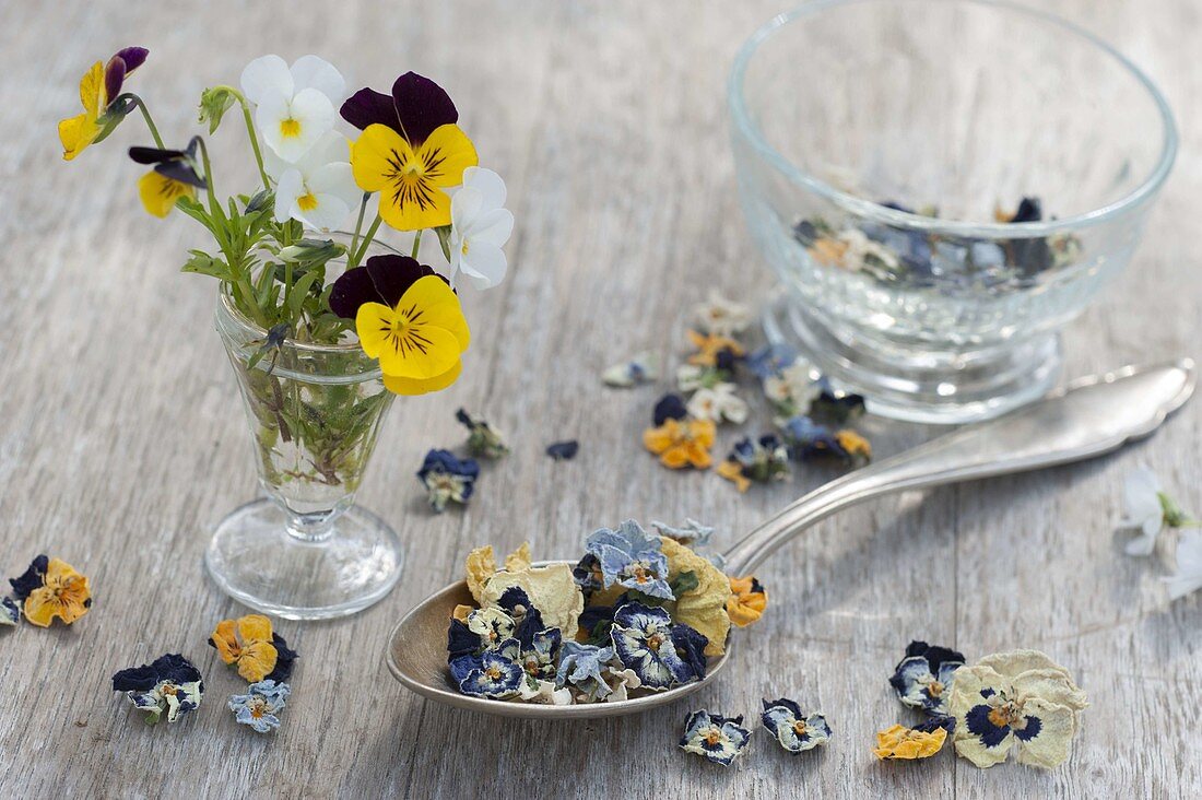 Viola - drying flowers for tea