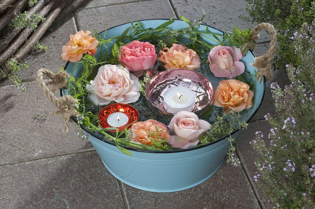 Türkise Blechwanne mit Blüten von Rosa (Rosen), Zitronenthymian